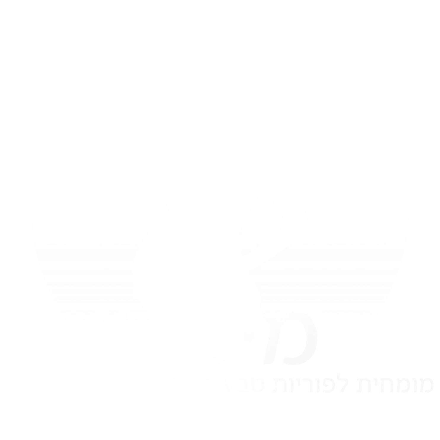 שיטת MIMA